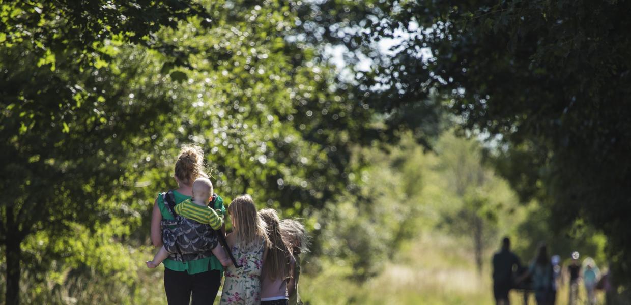Familie går i skov